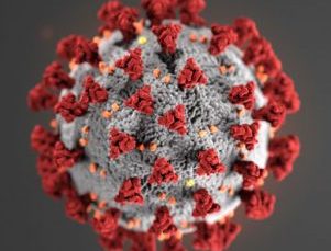 cv - Phoenix Senior Living